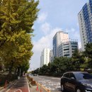 시청광장입구 이미지