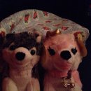 뽑기홀릭 이미지