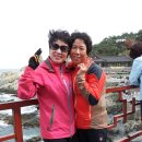 벌교목욕탕 이미지