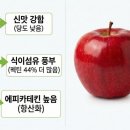 빨간사과