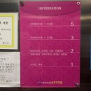 삼일로-13 | 구미에바마레조리원후기_13박14일의 기록