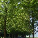 금성산성 이미지