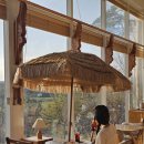 크로플초이 | 대전 근교 드라이브 세종 대형 애견동반 카페 초이한옥카페