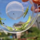 한결어린이집 이미지