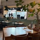 바이올독 푸드 이미지