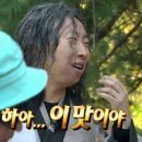 하데나 이미지