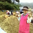 고려홍삼천국 이미지
