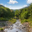 블러썸스파펜션 이미지