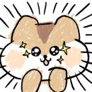 소노스시 이미지