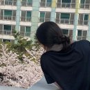 위아짐 회기점 이미지