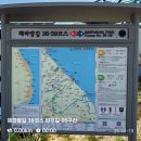 남항진해변 | 해파랑길 39코스 트레킹 후기 | 강릉 남항진 → 사천진 해변 거리·소요시간