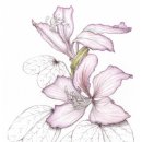 방앗돌굴리는노래 이미지