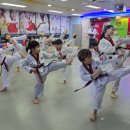 정무일도태권도 이미지