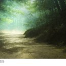 명덕로35길 이미지