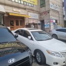 야탑서울동물병원 이미지