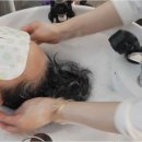 제이에스헤드스파 - 홍성군 청사로150번길 10 | 제이에스헤드스파