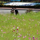 축제광장 이미지