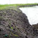 승규농장 이미지