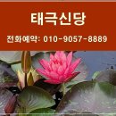 누가의료기 광명점 | 광명점집 내논내산 광명동 태극신당 후기