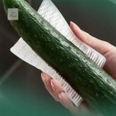 솔하우스 이미지