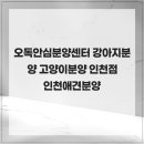 오독안심분양센터 강아지분양 고양이분양 인천점 | 오독안심분양센터 강아지분양 고양이분양 인천점 인천애견분양