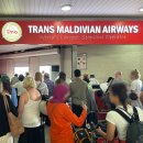 저녁노을지고달빛흐를때 식당 | 몰디브 신혼여행 : 아웃리거 마푸시바루 리조트 1일차