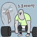 린핏