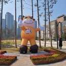 야외마당 콘서트 2회차 | 2026 제2회 김해 한우축제 후기 1일차