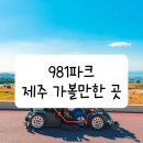 981 티스토리