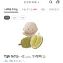 관저세탁크리닝 | 34-36w 임신기록 👶🏻 (산후도우미신청 / 대전 서구보건소 출산준비교실 / 막달검사 / 출산휴가시작...