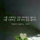 오블라디 이미지