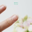 88더블에이트 스테인레스 풍뎅이 손톱깎이 절삭력 최고!