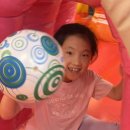 경호태권도스쿨 이미지