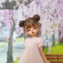 인형요기요 이미지