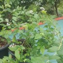 벧엘농장2 이미지