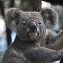 전남외국어고등학교 이미지