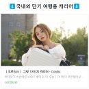 14인치 캐리어 크기 기내용캐리어 백팩 대신 써본 후기 코르딕스