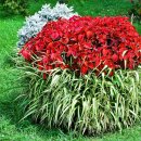 꽃과사람들 이미지