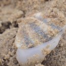 다모아민박 이미지