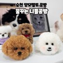 순천 양모펠트 공방 이색데이트 꿈꾸는 니들공방 원데이클래스 후기