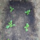 희진농장 이미지