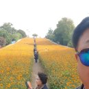찬숙이네