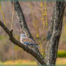 운동으로 지키는 관절 건강 이미지