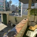 빈스로드 이미지