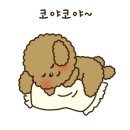 편한세탁 이미지