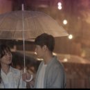 미스동백 이미지