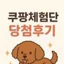 (주)유비해피 | 쿠팡체험단/ 8번째 후기🙌🏻