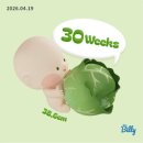 미주2차 | [임신 30주차] 2차 정밀초음파 검사, 미주신경성 실신, 태반 정상, 아기 유산균 구매