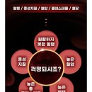 블루션 이미지