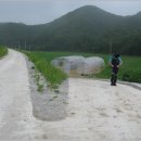여주-0332 Daum카페